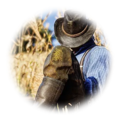 𓈒 ◠◠  arthur morgan