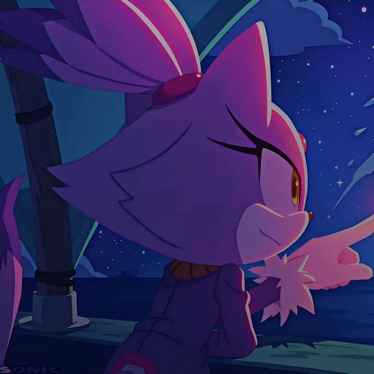 🔥 Blaze The Cat 🔥