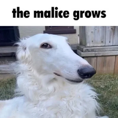 Matthias the Borzoi Furry