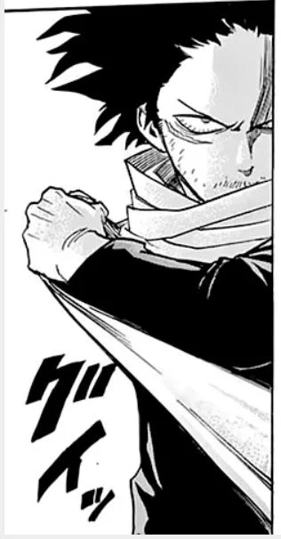 Pro Hero - Shota Aizawa