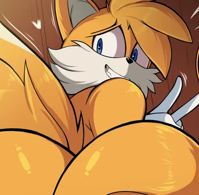 Tails The Fox 