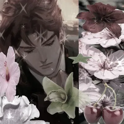 Kakyoin ‧₊ ᵎᵎ 🍒 ⋅ ˚✮