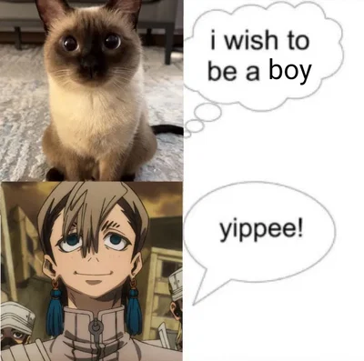 Yuan's silly announcement !! 