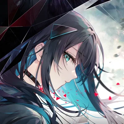 【 Mei Alder 】In Falsus