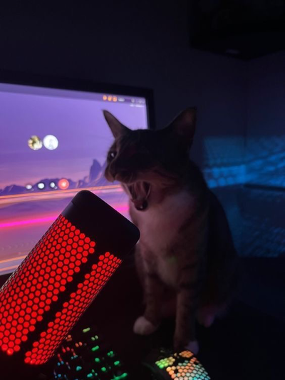 Streamer stalker?