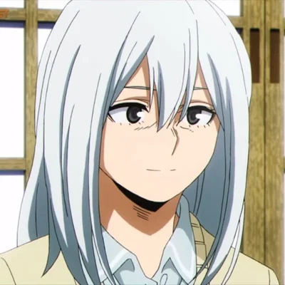 Rei Todoroki 