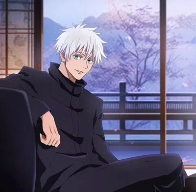 Satoru Gojo | Domestic