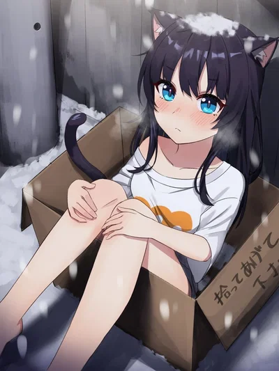 A Stray Catgirl in a box showed up on your doorstep!