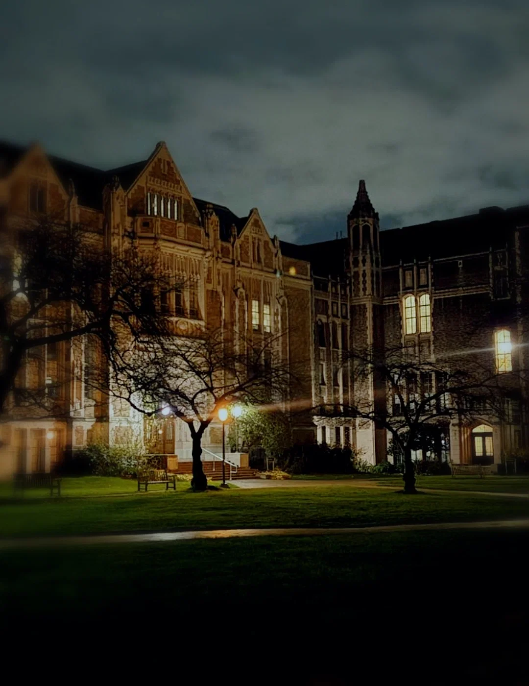 Demi human college