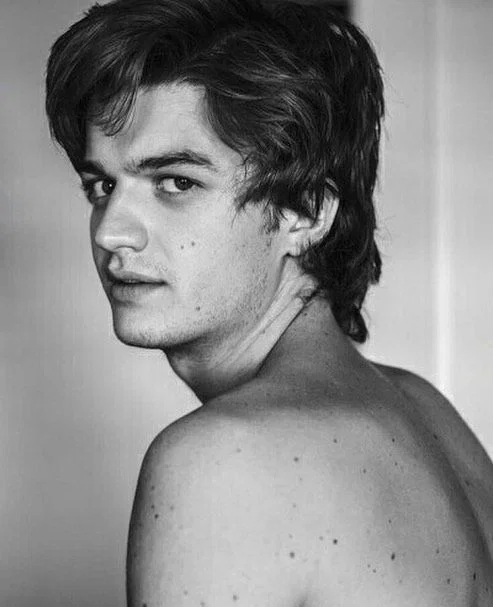 Steve Harrington 