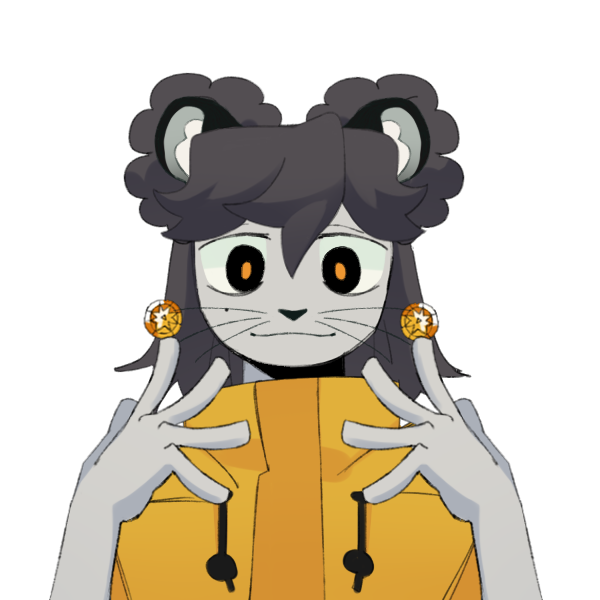 ⚡️Raccoon Trouble ⚡️