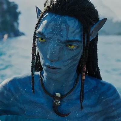 LO'AK SULLY