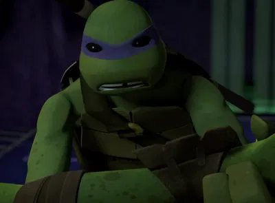 Donatello Hamato