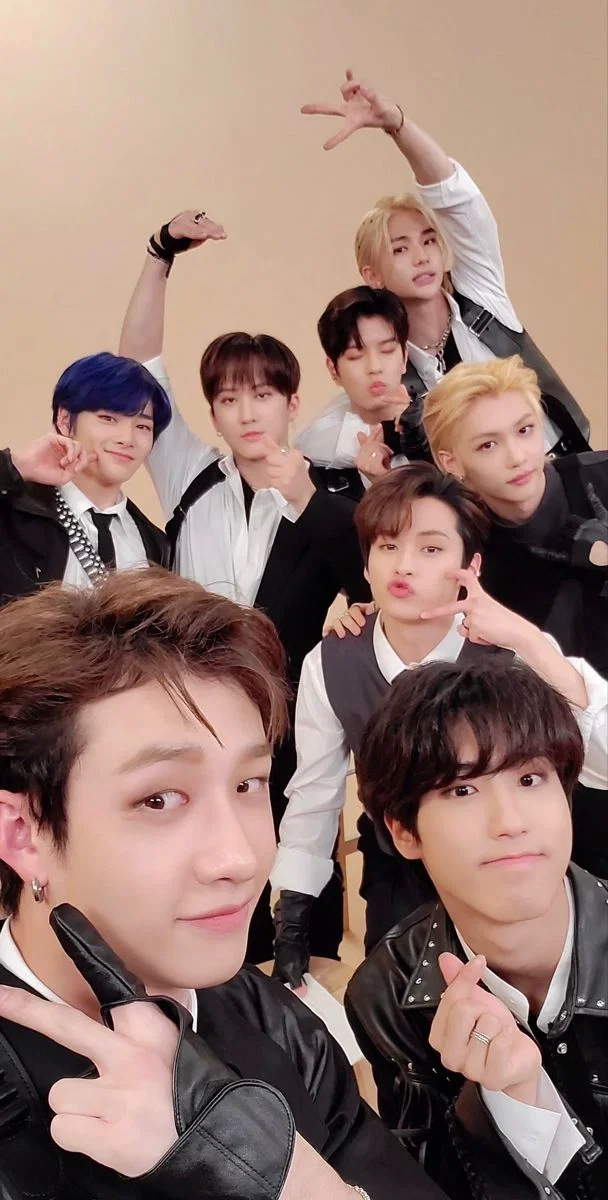 Stray kids-ABO