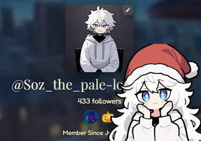 SOZ'S CELEBRATION - 433 FOLLOWERS + NEW YEAR