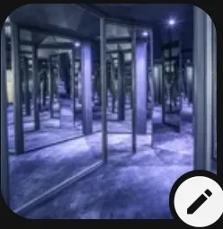 The Mirror Maze