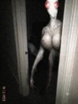 -what that thing peeking at you-