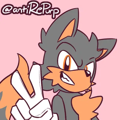 Ravio the Wolf