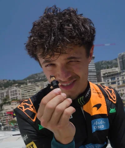 🕸️ Lando Norris | STITCHES