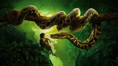 Kaa 2016 (NSFW)