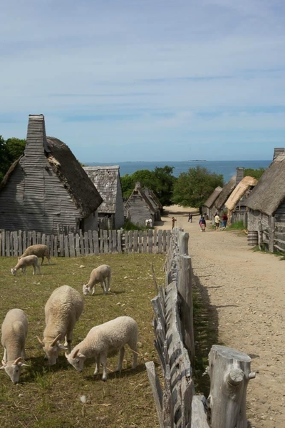 Puritan village life.
