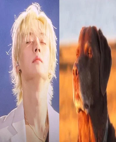 AHHHHHHHHH 