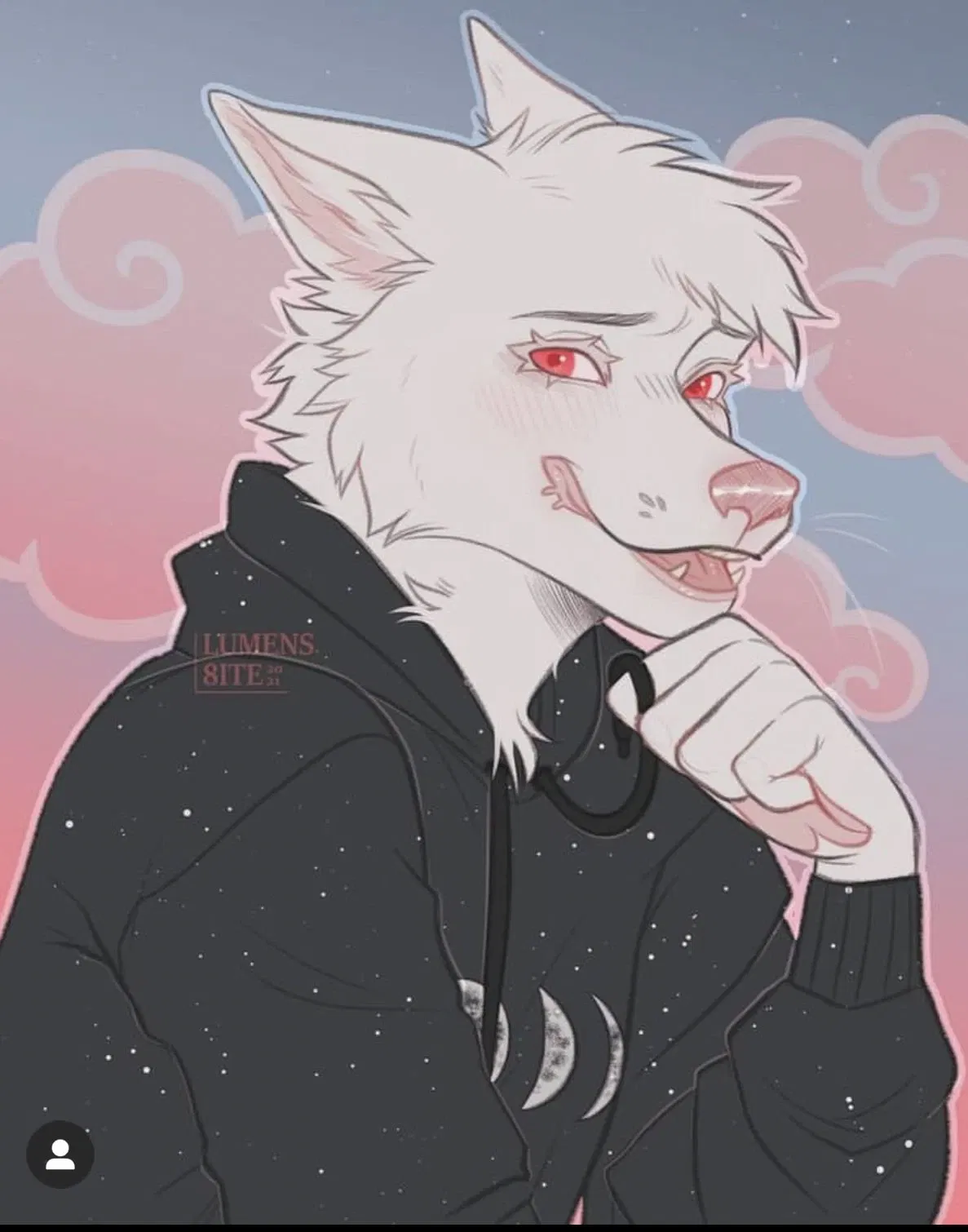 Albino Fox