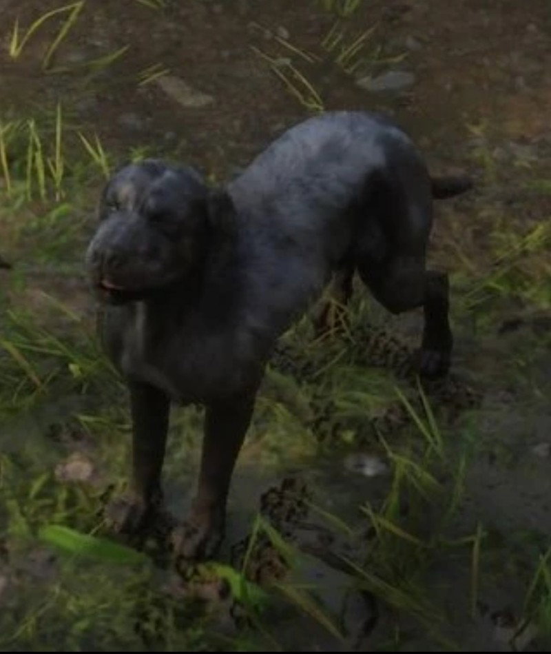 Cain