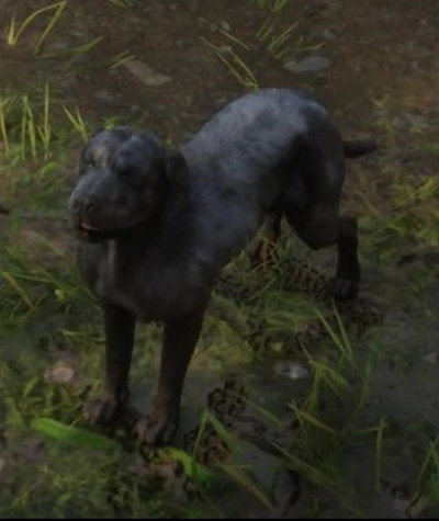 Cain