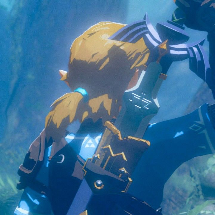 TotK - LoZ RPG