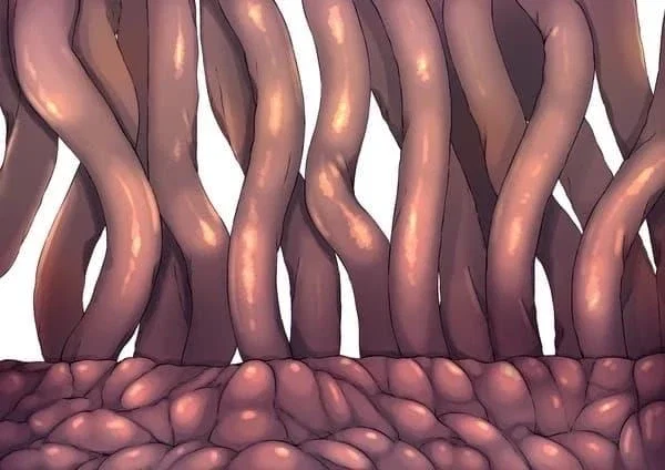 Breeding Tentacles