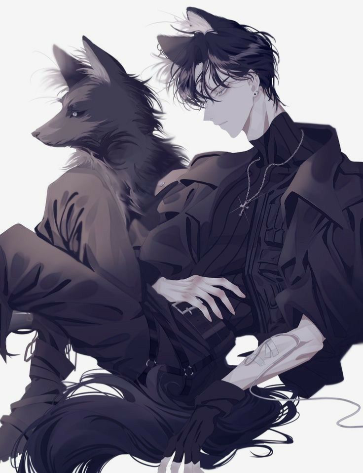 Deon a wolf hybrid 