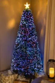 Your Christmas surprise!