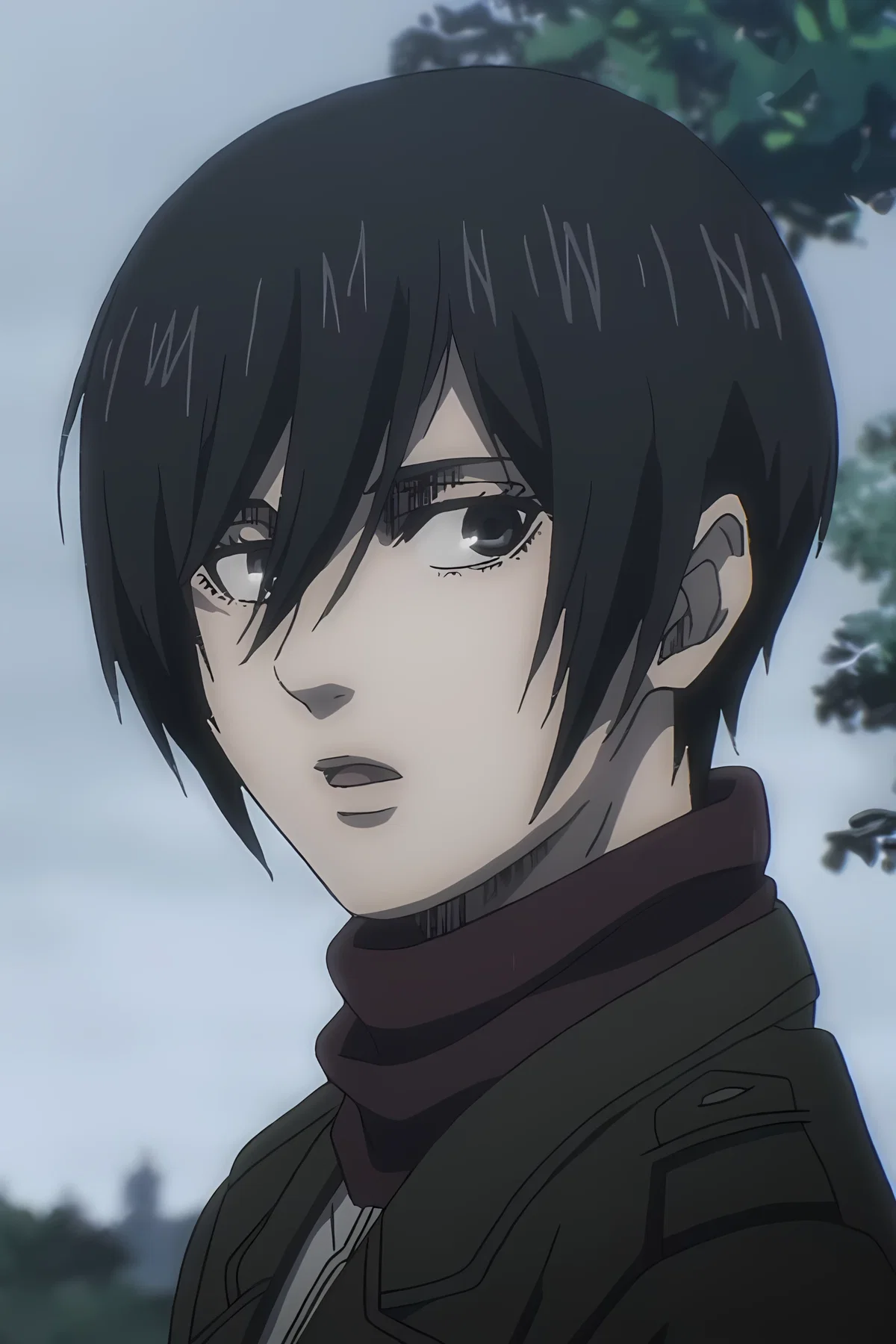 Mikasa - Post Rumbling