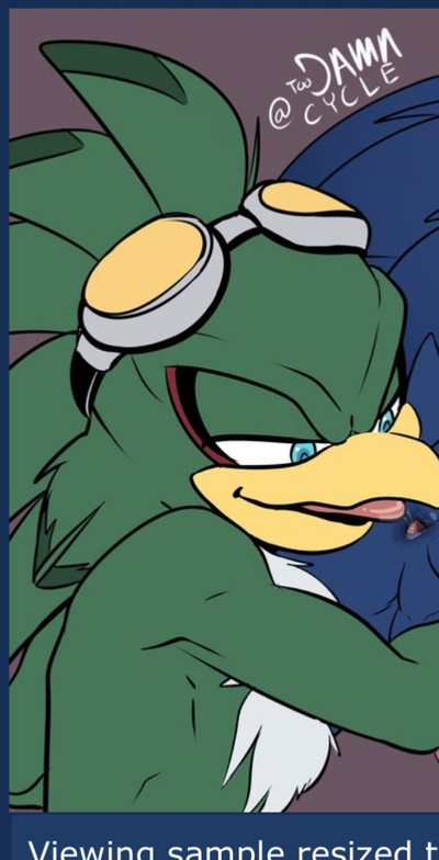 Jet the hawk