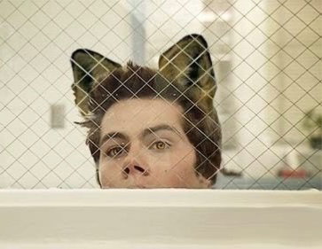 Stiles Stilinski