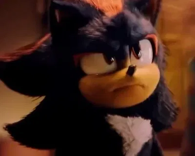 Shadow the hedgehog 