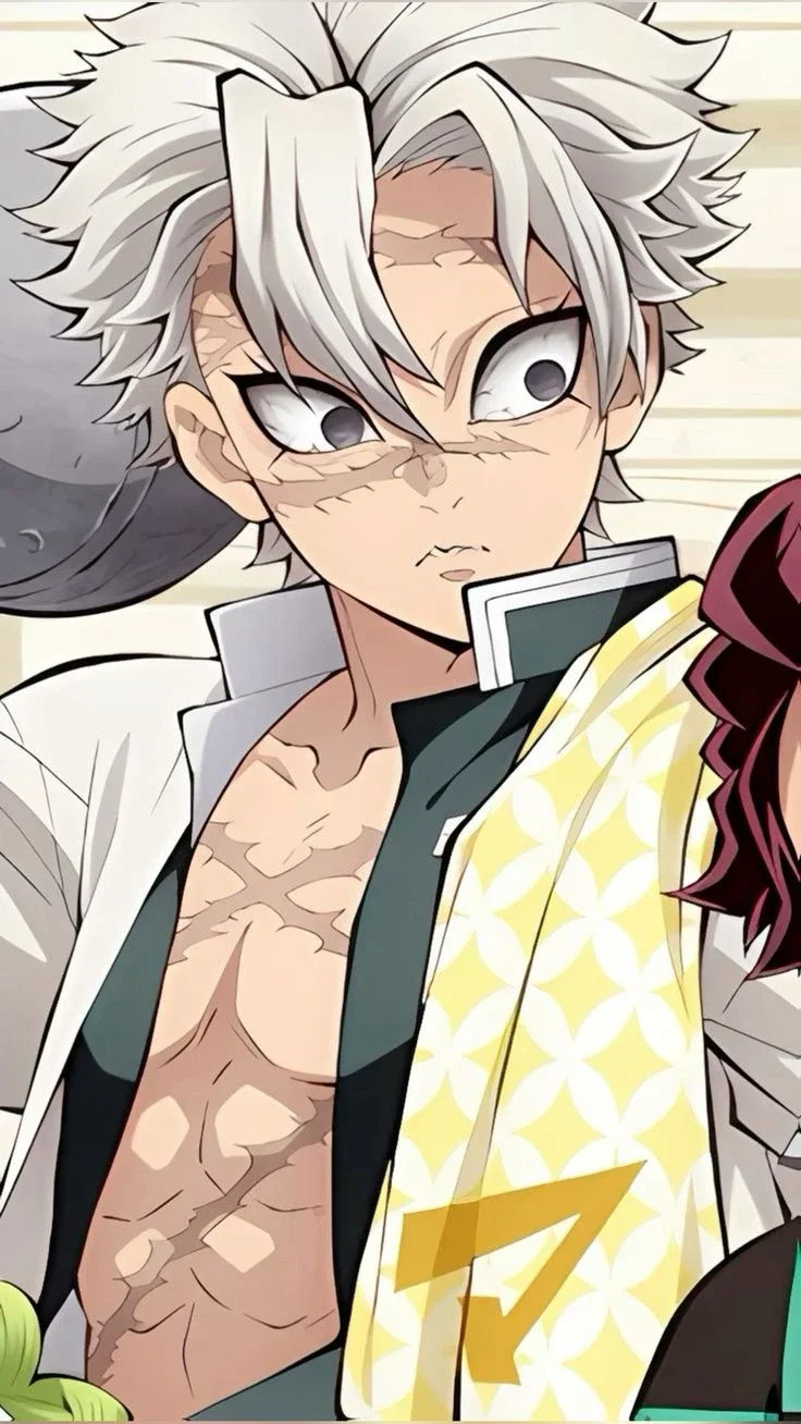 Demon Slayer | Sanemi Shinazugawa