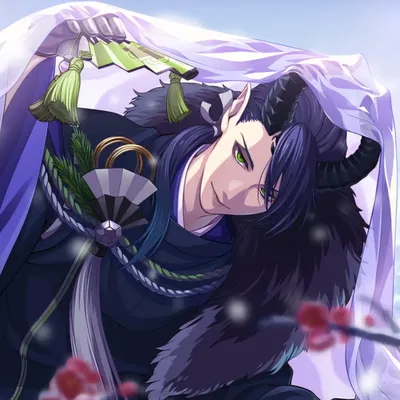 Malleus Draconia (New Year's Proposal)