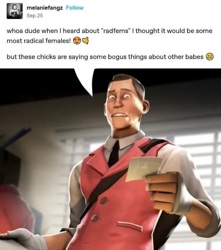 Scout
