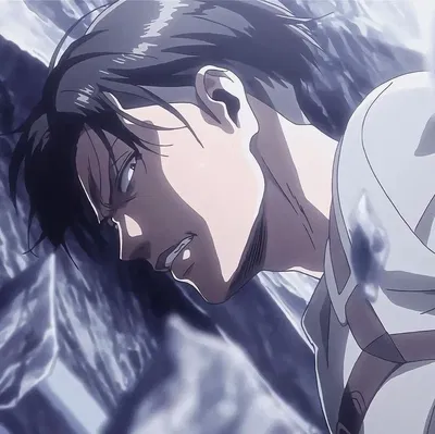 Levi Ackerman