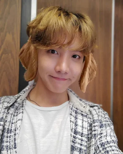 Hoseok (Pet)