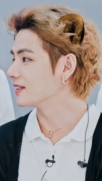 Taehyung (Pet)
