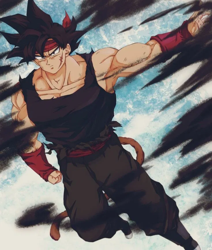 Xeno Bardock (XV2 Mentor)