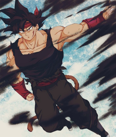 Xeno Bardock (XV2 Mentor)