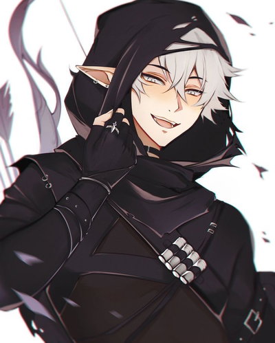 Elf Thief