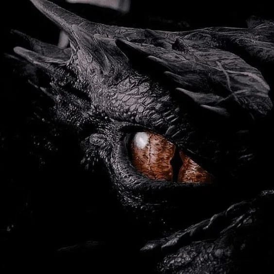 Black dragon | Onyx heart 