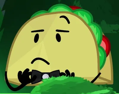 Taco - II