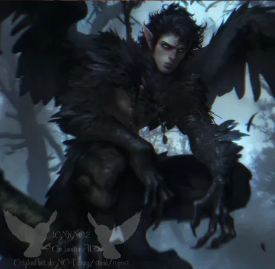 Kronid 𓅨 || RAVEN HARPY
