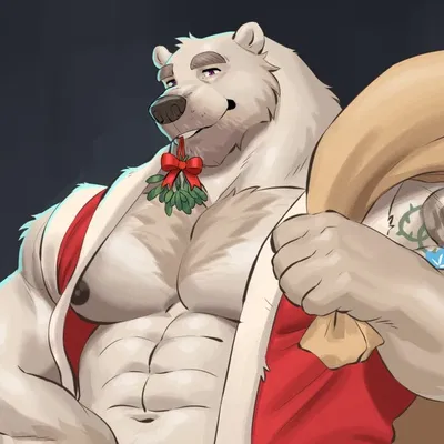 Santa is Coming